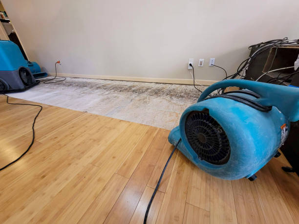 Professional Water Removal technician working in Gray, ME